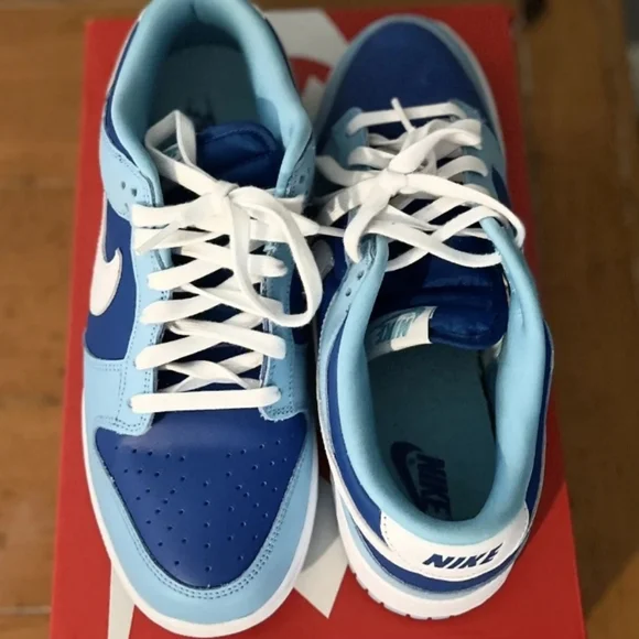 Nike Dunk Lows (Argon Blue)